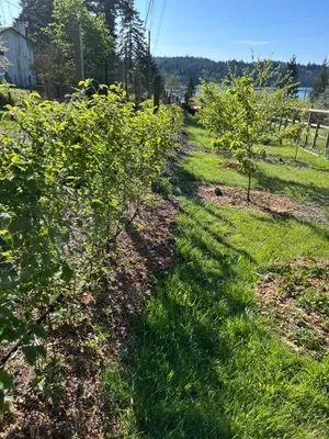 Come visit Gibson's Family Farm